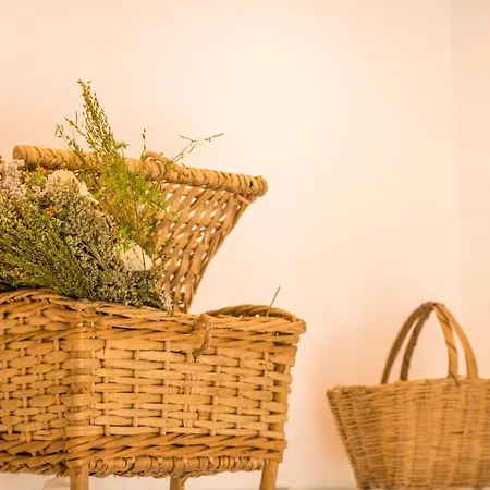 Apartmán 188 - Buganvilia - Pool And Balcony *